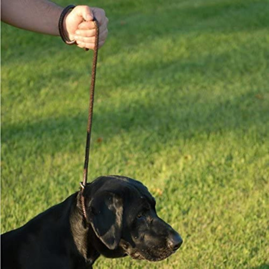 Dog Training Leather Lead