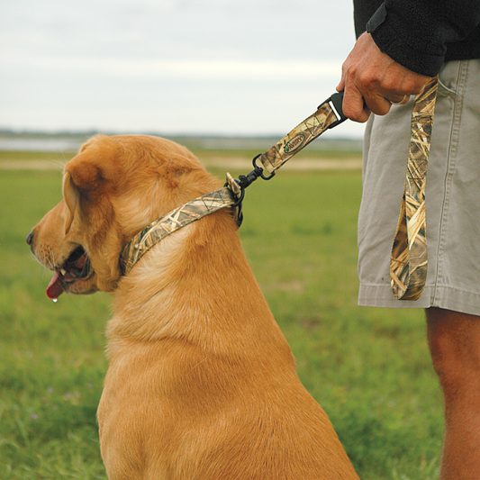 Avery Sporting Dog Trainer's Lead